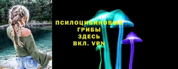 стафф Алзамай