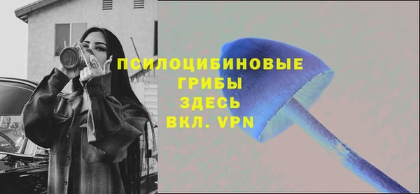 стафф Алзамай