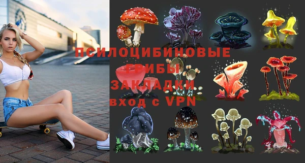 прущие грибы Рославль