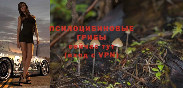 эйфоретик Россошь