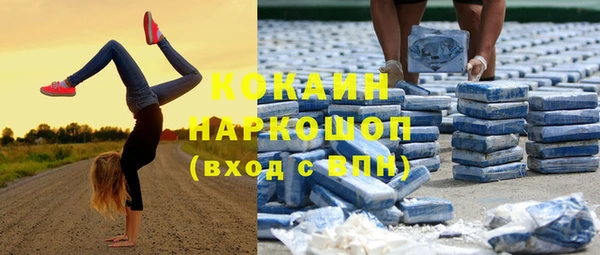 метадон Алексин